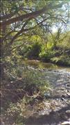 Dwars River just after Steelpoort